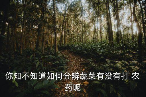 你知不知道如何分辨蔬菜有沒有打 農藥呢