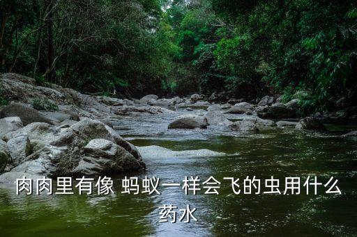 肉肉里有像 螞蟻一樣會飛的蟲用什么藥水