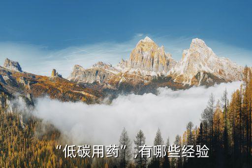 “低碳用藥”,有哪些經驗