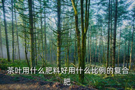  茶葉用什么肥料好用什么比例的復(fù)合肥