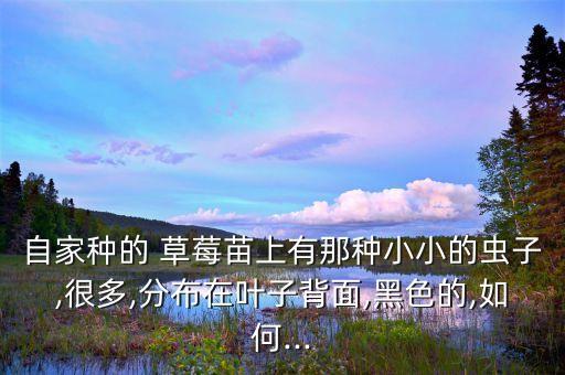 自家種的 草莓苗上有那種小小的蟲子,很多,分布在葉子背面,黑色的,如何...