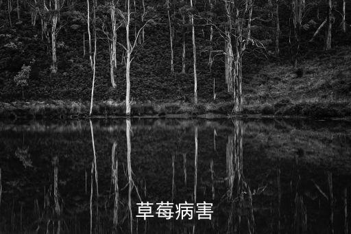 凱澤是什么性質的農藥,美國凱澤大學是什么性質的學校