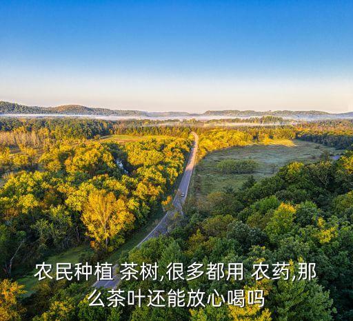 農(nóng)民種植 茶樹(shù),很多都用 農(nóng)藥,那么茶葉還能放心喝嗎
