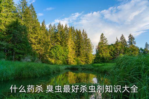農藥地里有臭蟲用什么藥,什么農藥能殺死臭蟲