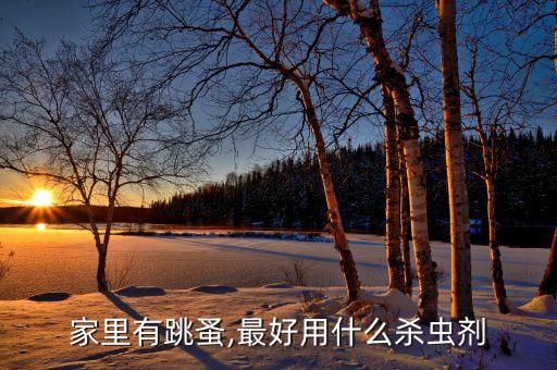家里有跳蚤,最好用什么殺蟲劑
