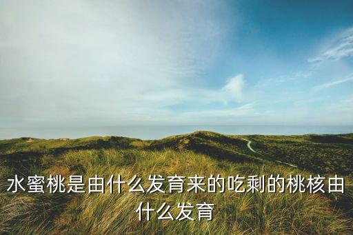 水蜜桃是由什么發育來的吃剩的桃核由什么發育