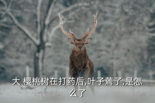 什么農(nóng)藥造成大櫻桃落果,落果用什么農(nóng)藥