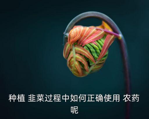 種植 韭菜過程中如何正確使用 農(nóng)藥呢