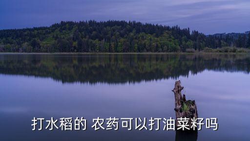 稻冥娥打什么農藥