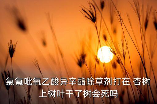 果裂該打什么農藥,杏樹現在該打什么農藥