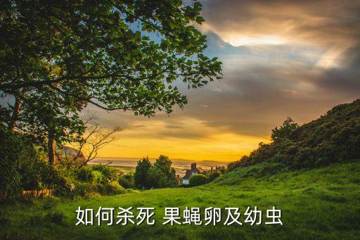 果蠅用什么農藥防治,果蠅最怕三種東西