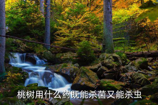  桃樹用什么藥既能殺菌又能殺蟲