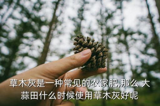 種植大蒜地里有什么農(nóng)藥,大蒜適合什么季節(jié)種植