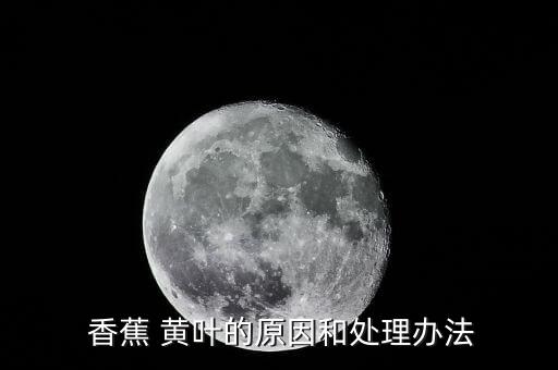  香蕉 黃葉的原因和處理辦法