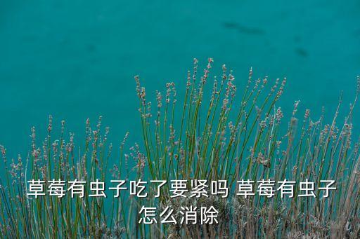 草莓用什么農(nóng)藥可以防蟲(chóng),草莓不打農(nóng)藥怎樣防蟲(chóng)
