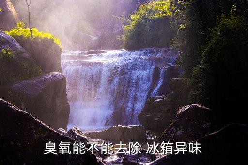 臭氧能不能去除 冰箱異味