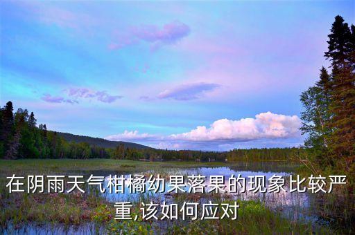 在陰雨天氣柑橘幼果落果的現象比較嚴重,該如何應對
