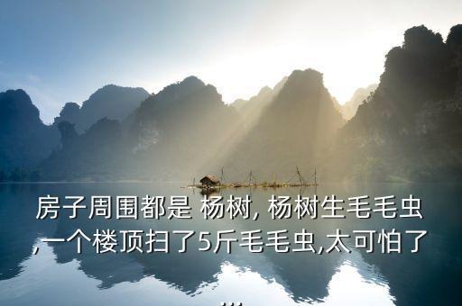 楊樹生蟲打什么農(nóng)藥最好