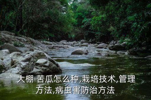  大棚 苦瓜怎么種,栽培技術,管理方法,病蟲害防治方法