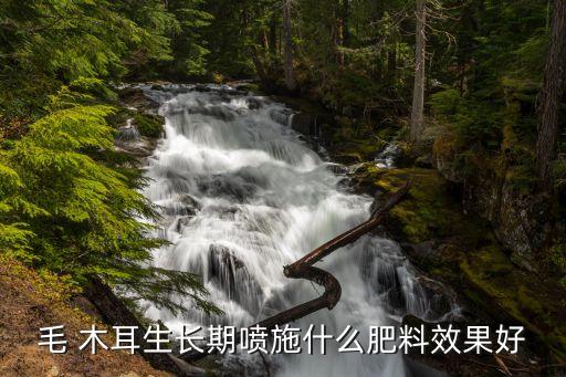 種植木耳打什么農藥,木耳種植大棚圖片