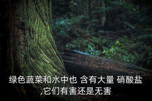 什么農(nóng)藥里面含有硝酸鹽,硝酸鹽中含有什么離子