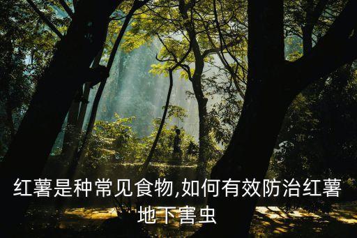 紅薯是種常見食物,如何有效防治紅薯地下害蟲