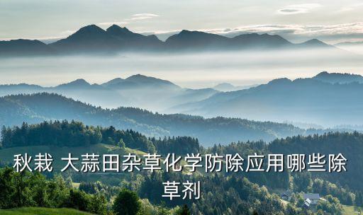 春天大蒜打什么農藥,現在大蒜打什么農藥好