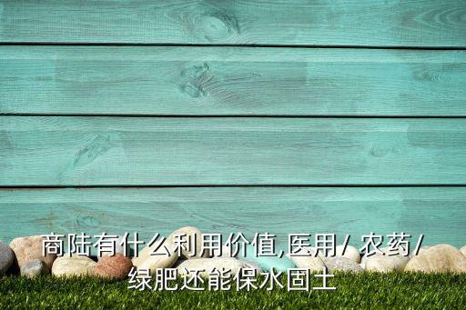 商陸有什么利用價(jià)值,醫(yī)用/ 農(nóng)藥/綠肥還能保水固土