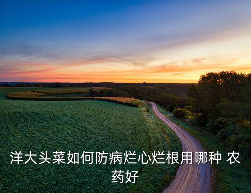 爛葉菜打什么農藥最好,葉菜爛葉用什么農藥