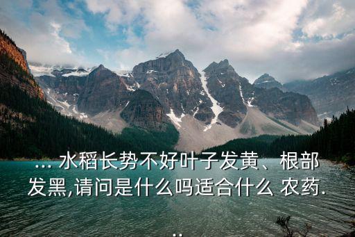 水稻不分蘗用什么農藥,水稻分蘗什么意思