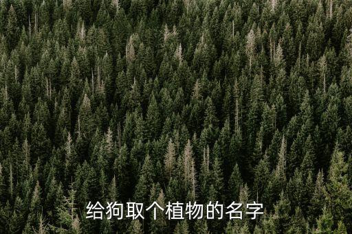 給狗取個(gè)植物的名字