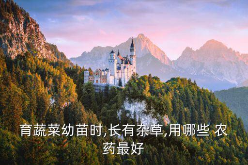 育蔬菜幼苗時(shí),長有雜草,用哪些 農(nóng)藥最好