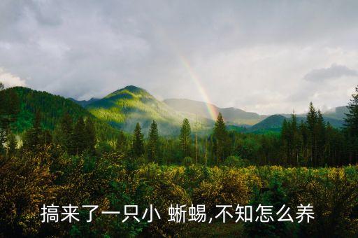 蜥蜴怕什么農(nóng)藥,蝸牛最怕什么農(nóng)藥