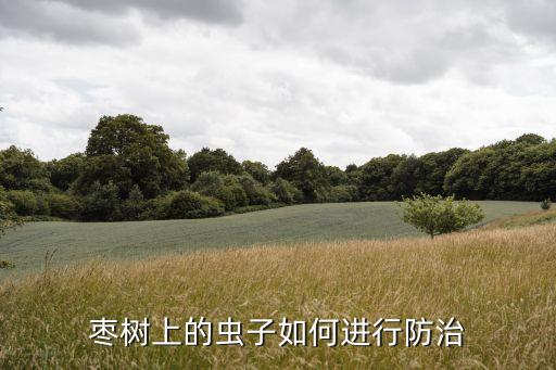 棗心長蟲用什么農藥,土里長蟲用什么農藥