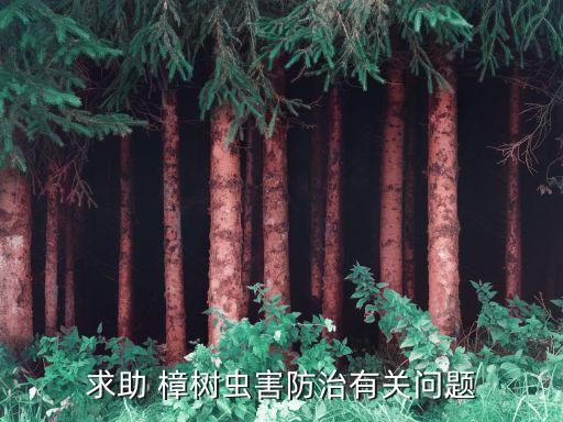 香樟樹用什么農藥弄死,用什么農藥可以把樹弄死