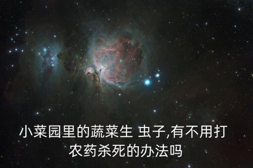 小菜園里的蔬菜生 蟲子,有不用打 農(nóng)藥殺死的辦法嗎