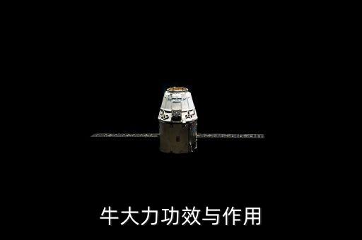 牛大力功效與作用