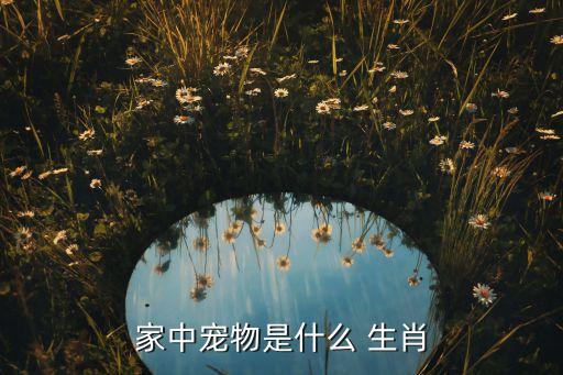 家中寵物是什么 生肖