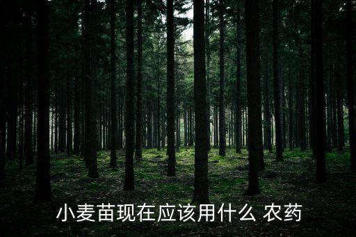  小麥苗現在應該用什么 農藥