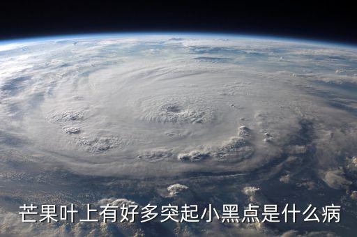 芒果有黑斑用什么農(nóng)藥,芒果皮黑斑什么原因