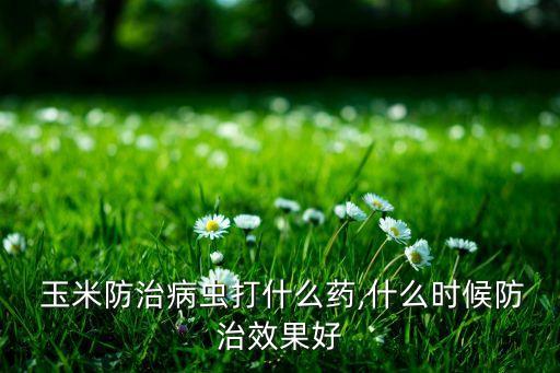  玉米防治病蟲打什么藥,什么時(shí)候防治效果好