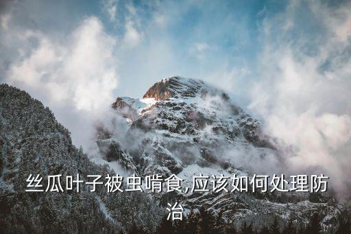 絲瓜用什么農藥防病毒,絲瓜打什么農藥最好