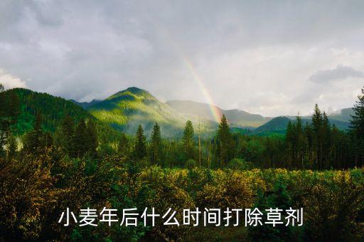 小麥年后什么時間打除草劑