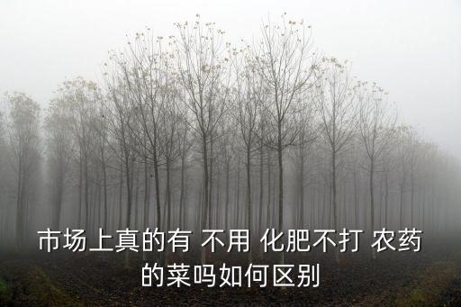 市場上真的有 不用 化肥不打 農(nóng)藥的菜嗎如何區(qū)別