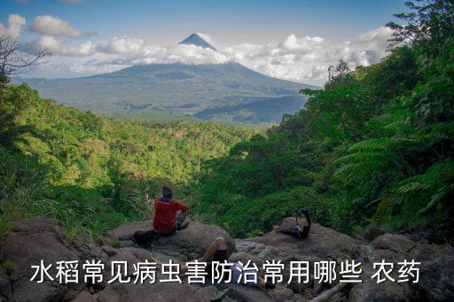 巴丹是什么農(nóng)藥,巴丹農(nóng)藥的防治范圍