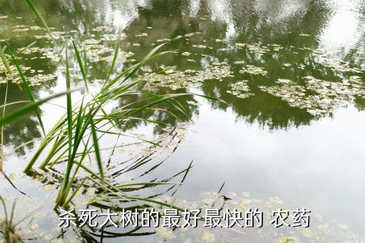  殺死大樹的最好最快的 農藥