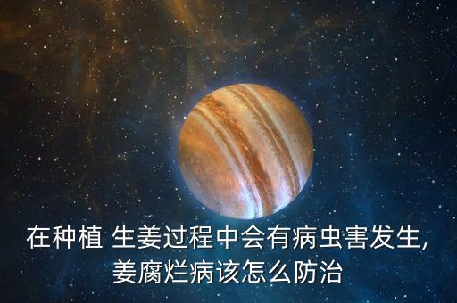 除生姜早用什么農藥,生姜用什么農藥防治最好