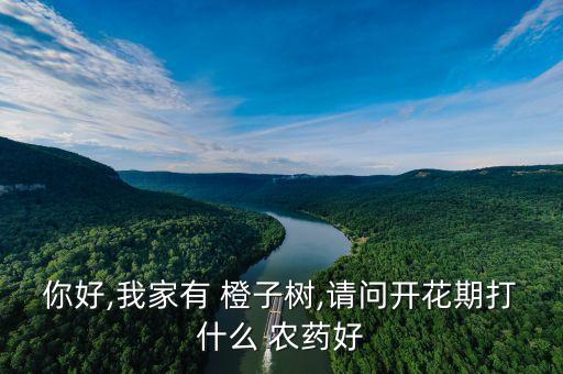 橙子使用什么農(nóng)藥比較好,橙子和什么一起吃比較好