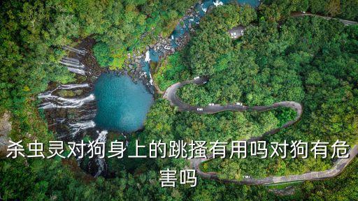 殺蟲靈對(duì)狗身上的跳搔有用嗎對(duì)狗有危害嗎