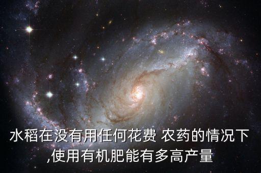 完全不含農藥肥料的食物是什么,無農藥是什么肥料